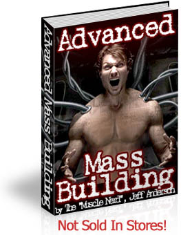 Advanced Mass Building Book